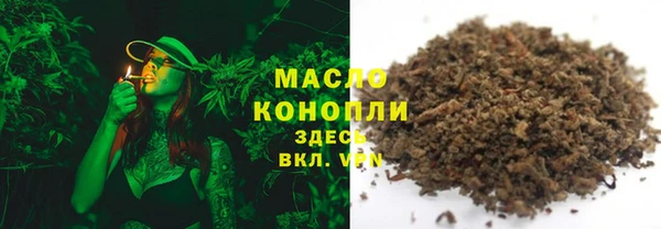 хмурый Аркадак