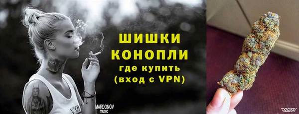 хмурый Аркадак