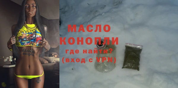 хмурый Аркадак