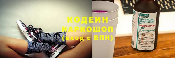 хмурый Аркадак