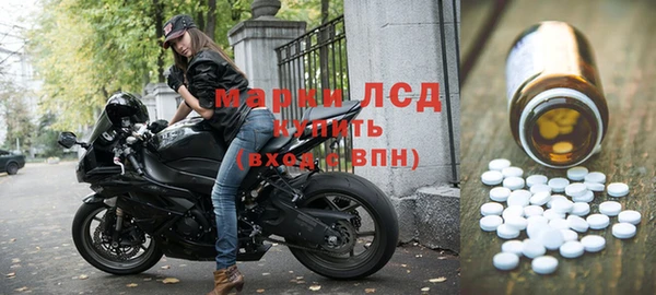 хмурый Аркадак
