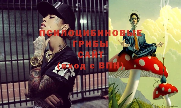 хмурый Аркадак