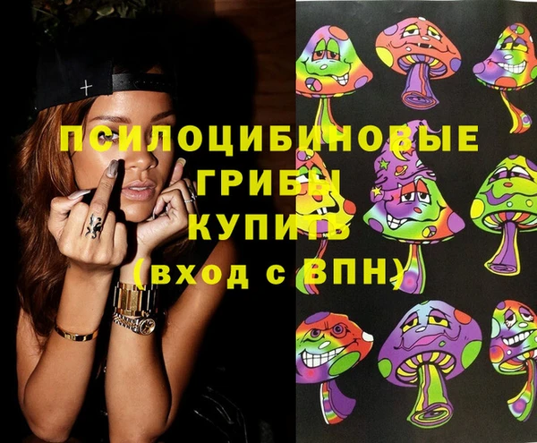 хмурый Аркадак
