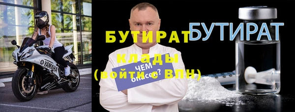 хмурый Аркадак