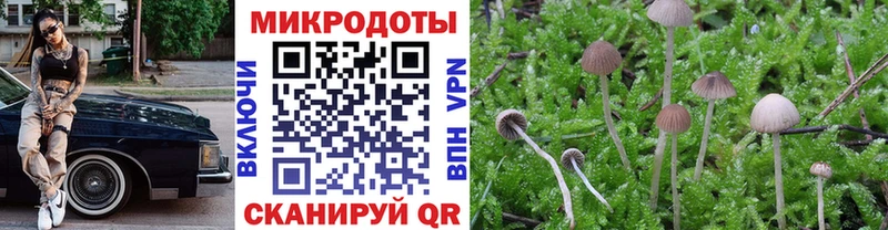 Псилоцибиновые грибы Psilocybine cubensis  Купить закладки  Тюкалинск 